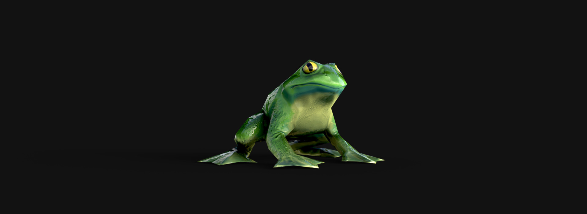 Product banner image
