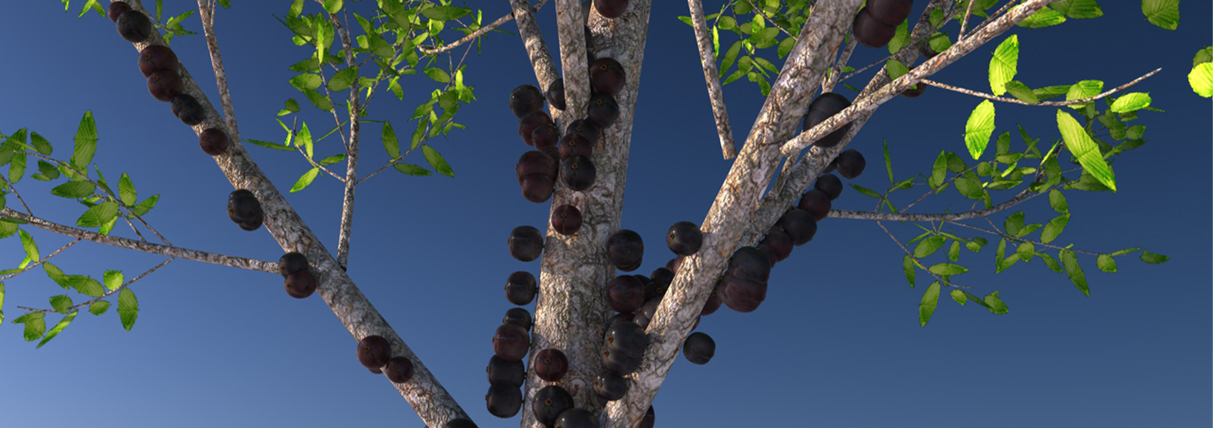 Product banner image