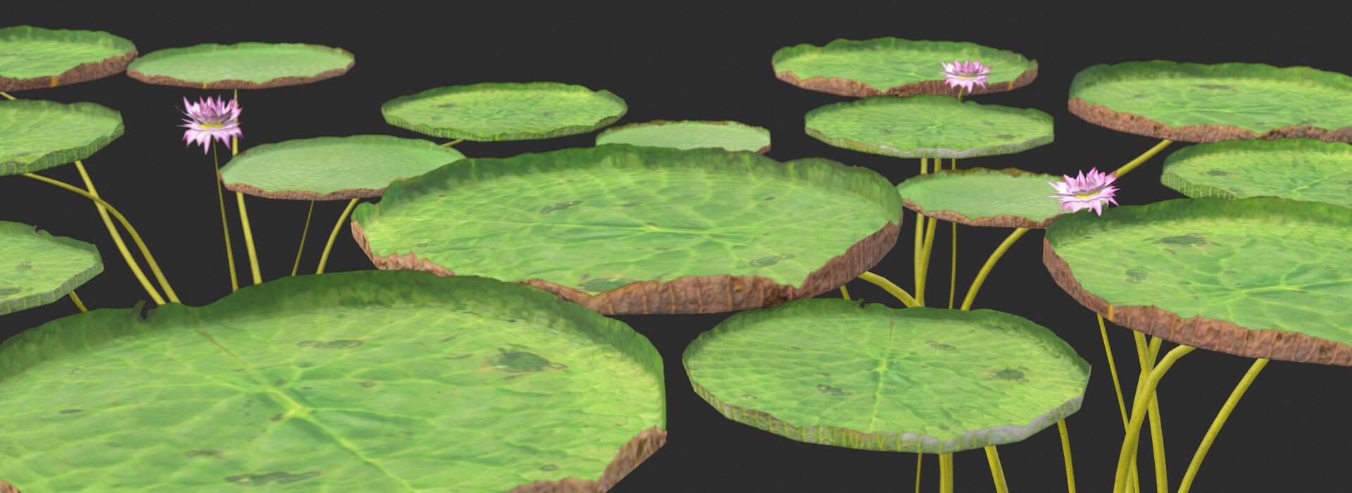 Product banner image