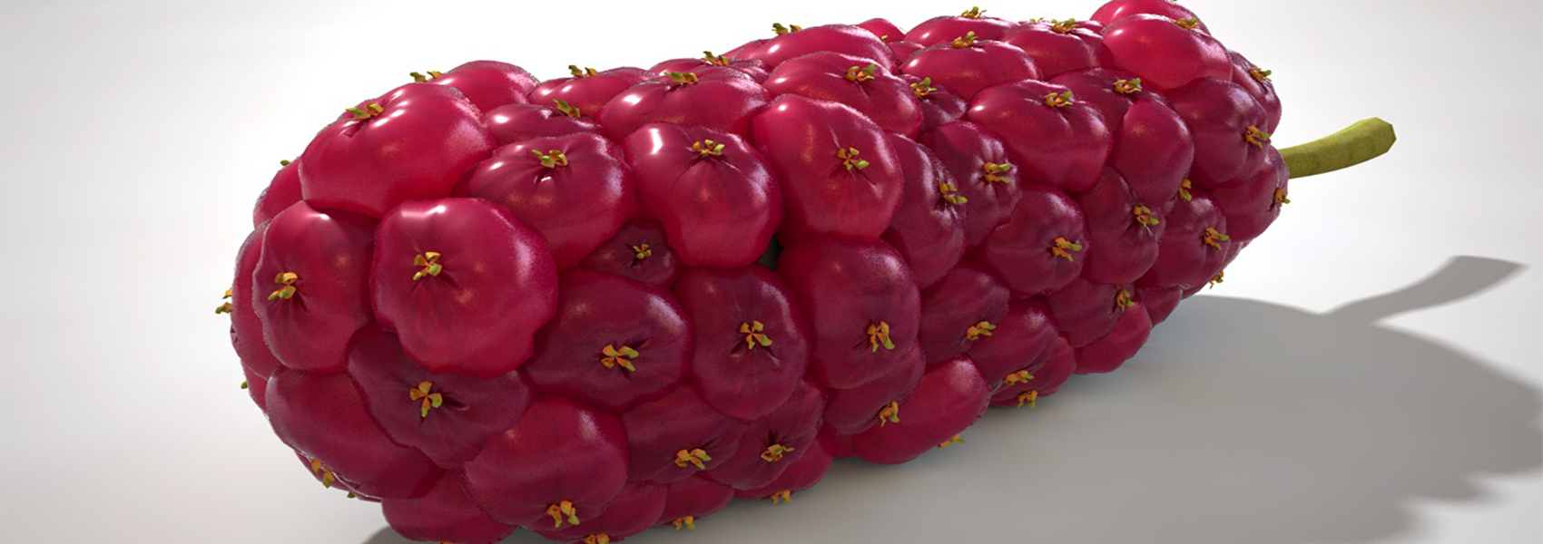 Product banner image