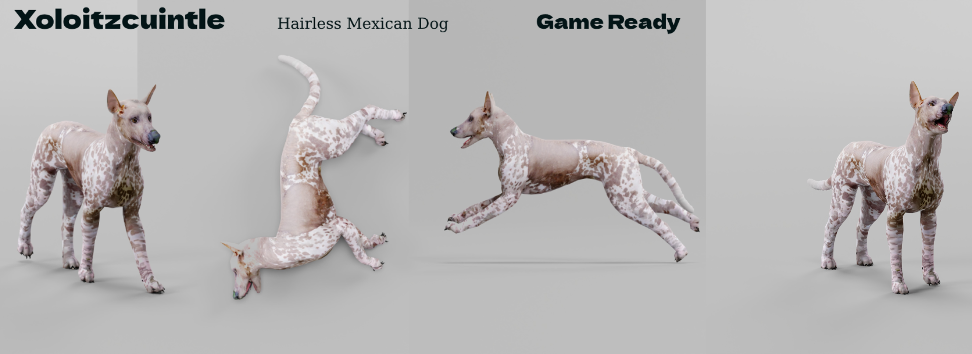 Product banner image
