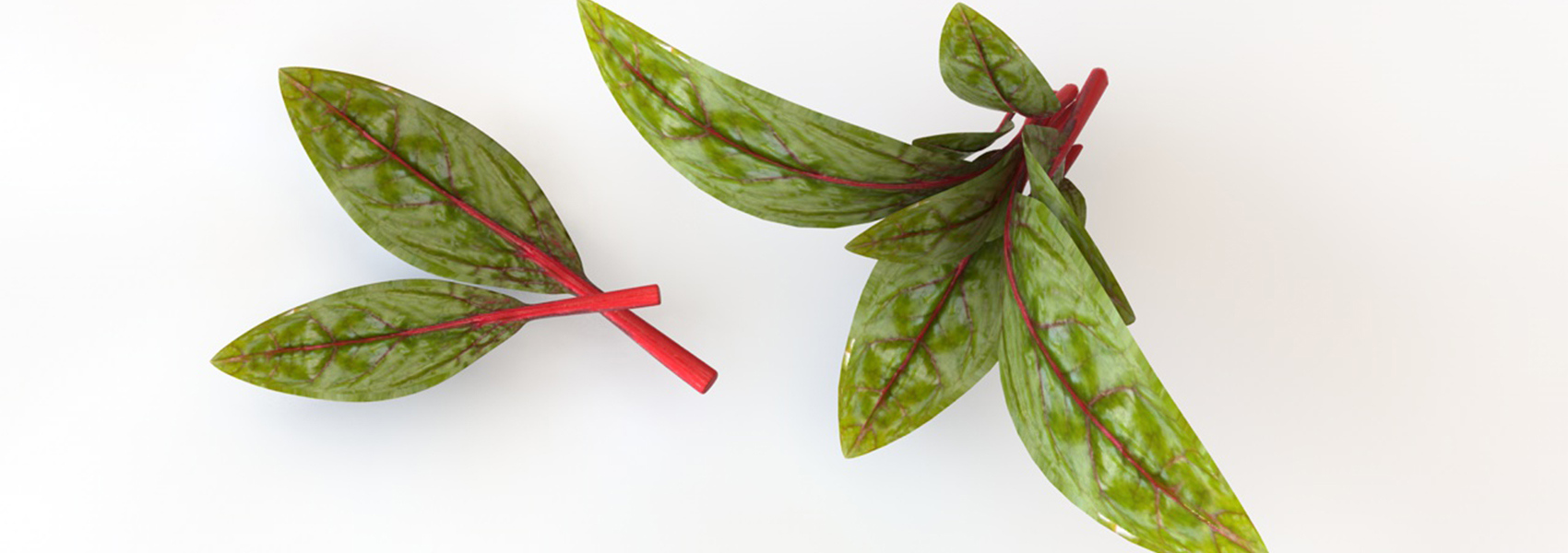 Product banner image