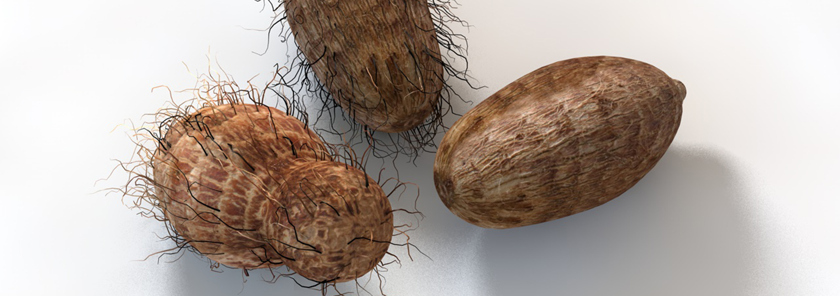 Product banner image