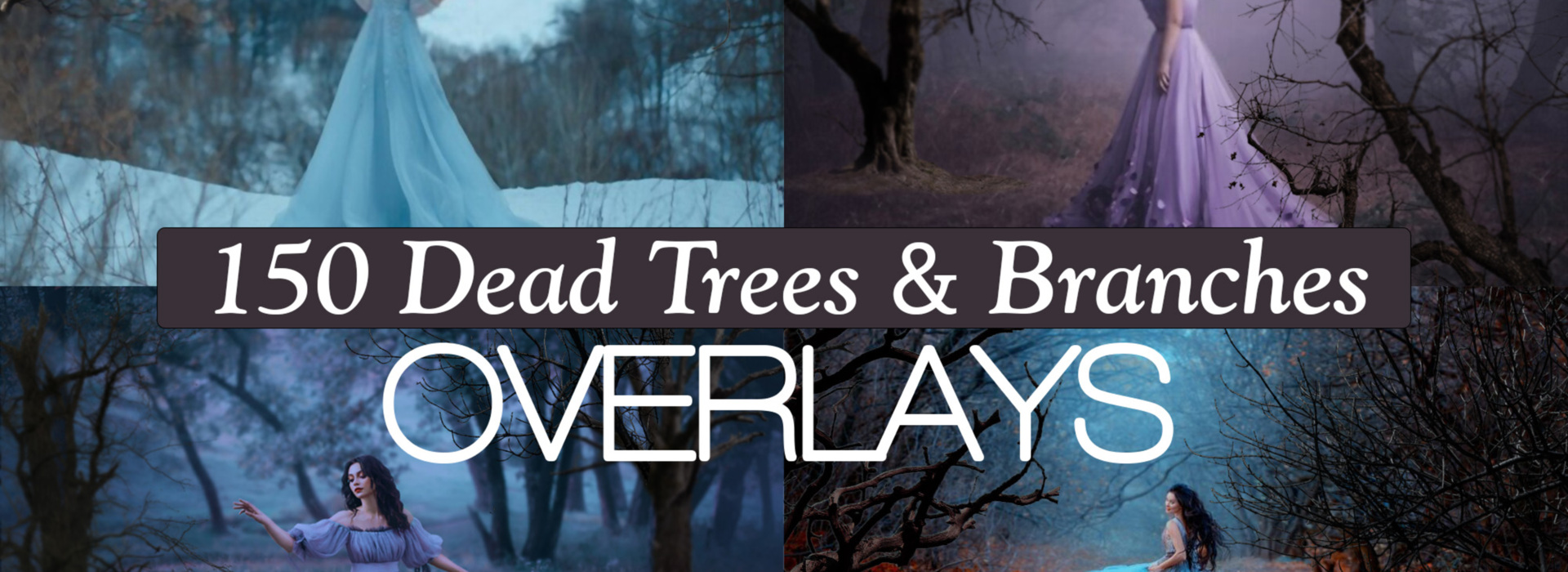 Product banner image