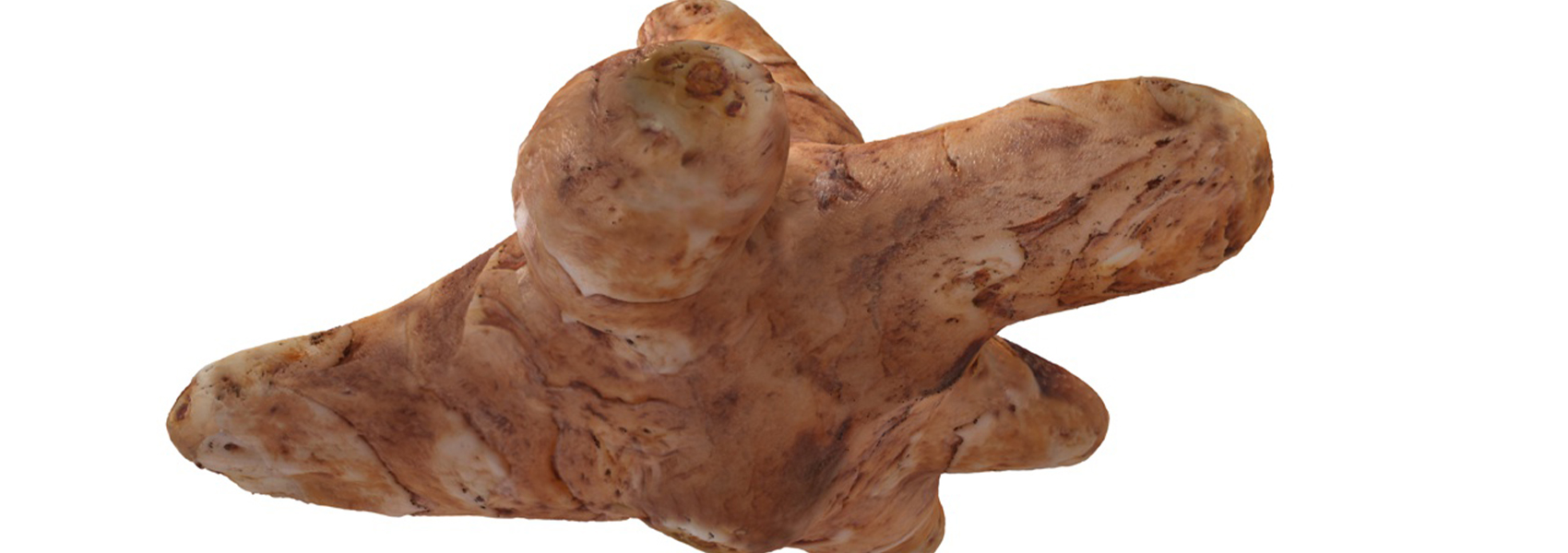 Product banner image