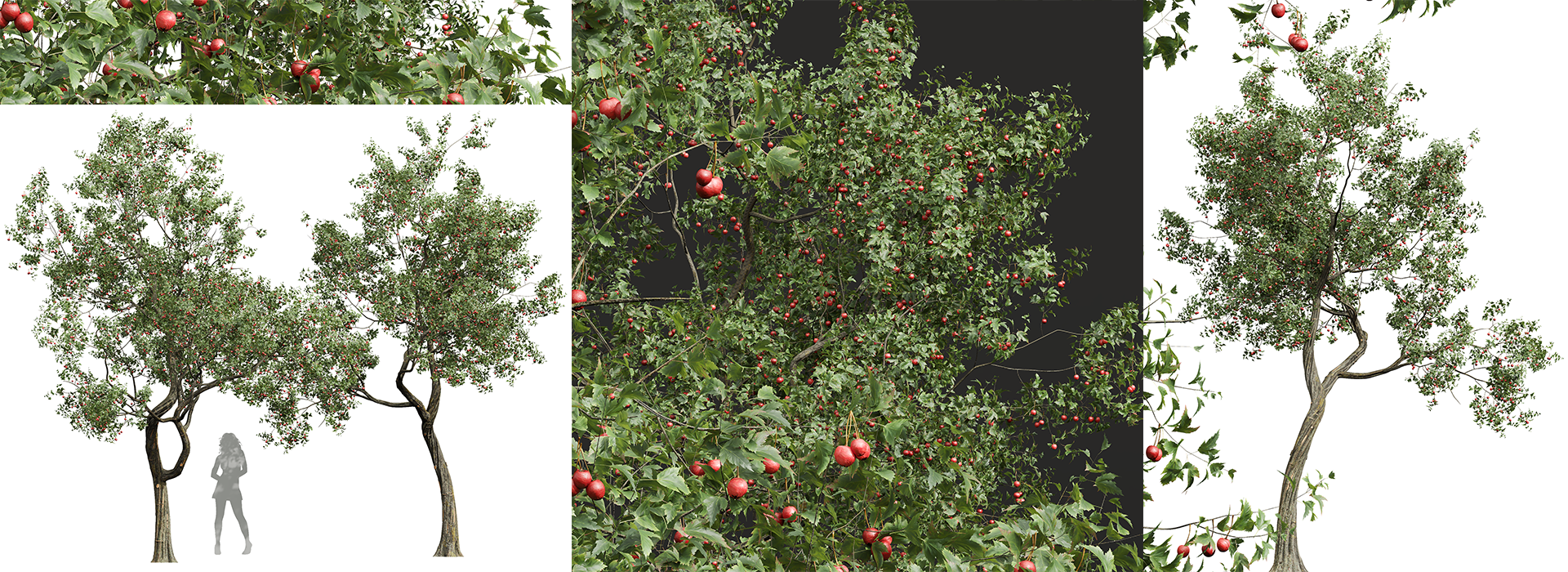 Product banner image