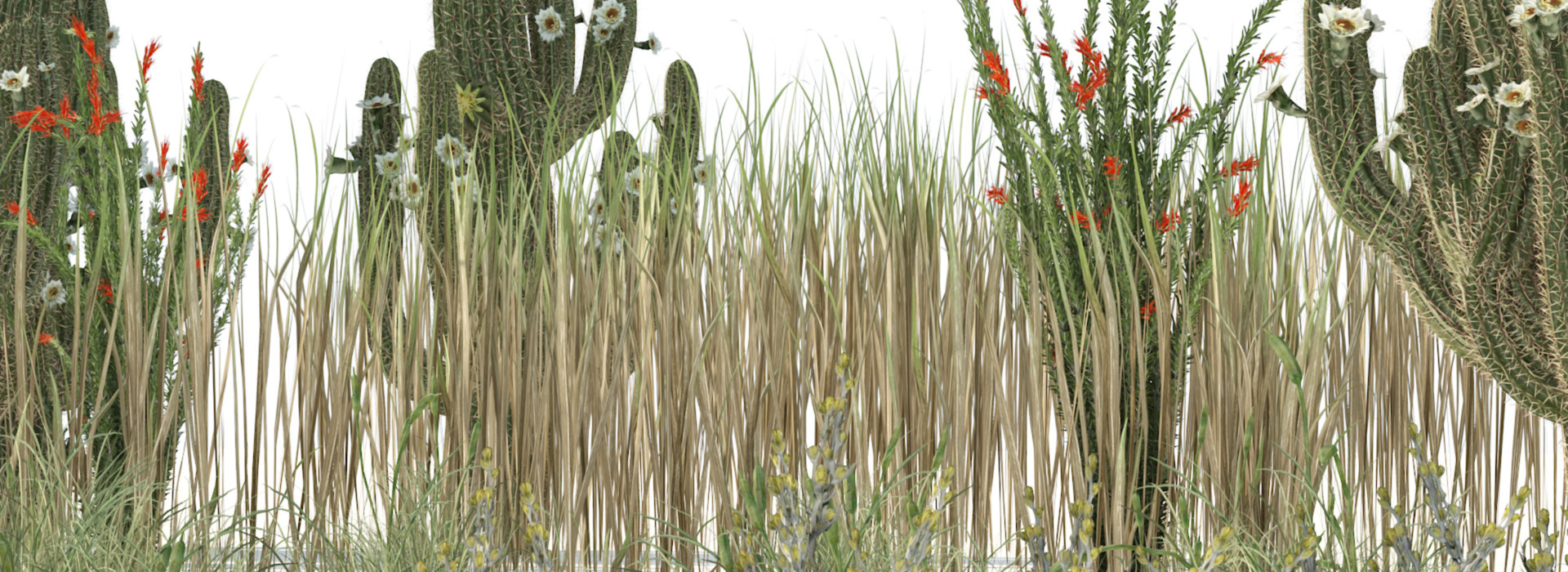 Product banner image