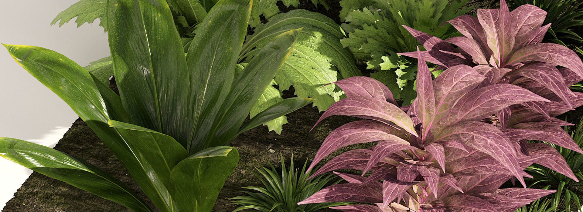 Product banner image