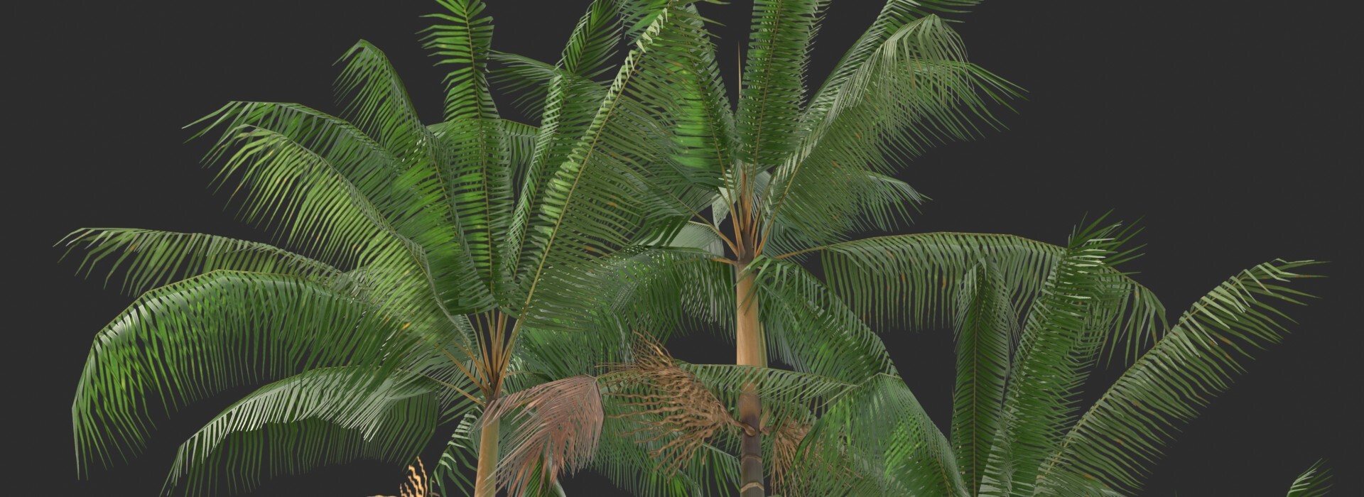 Product banner image