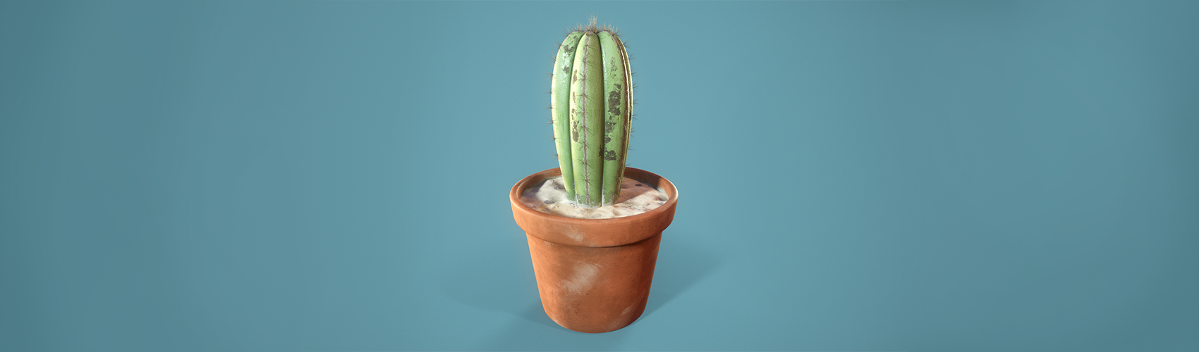 Product banner image