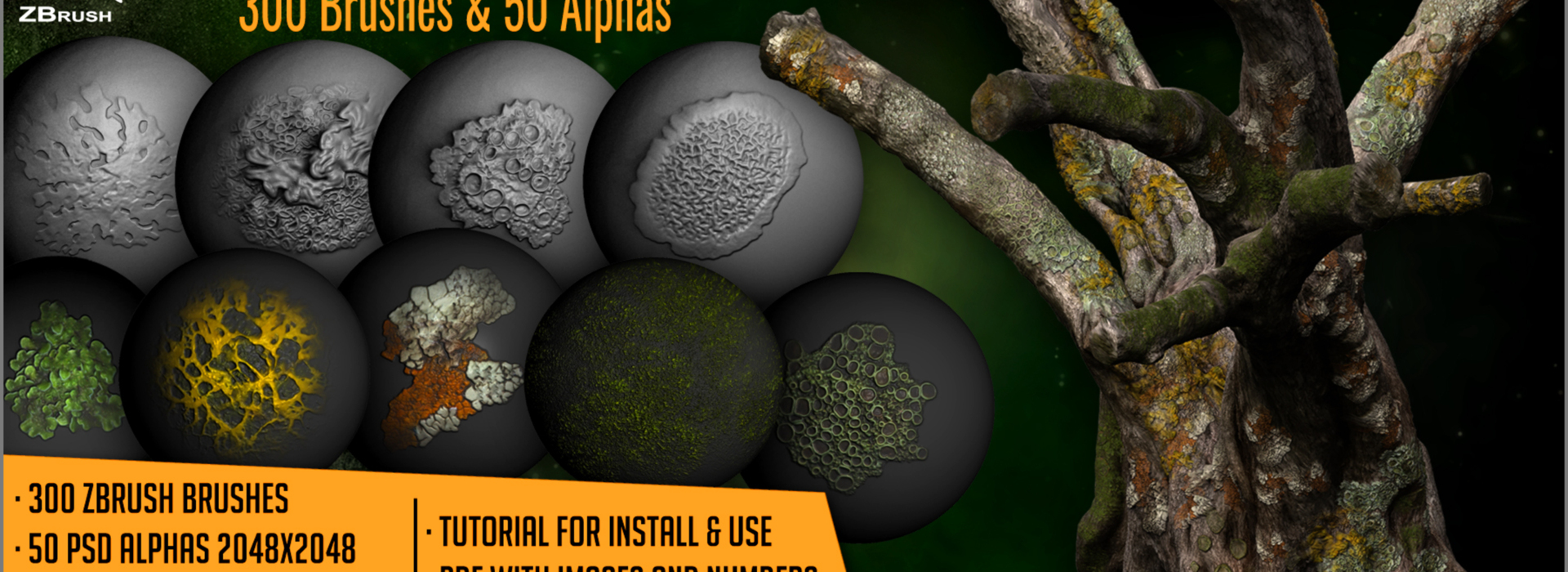 Product banner image
