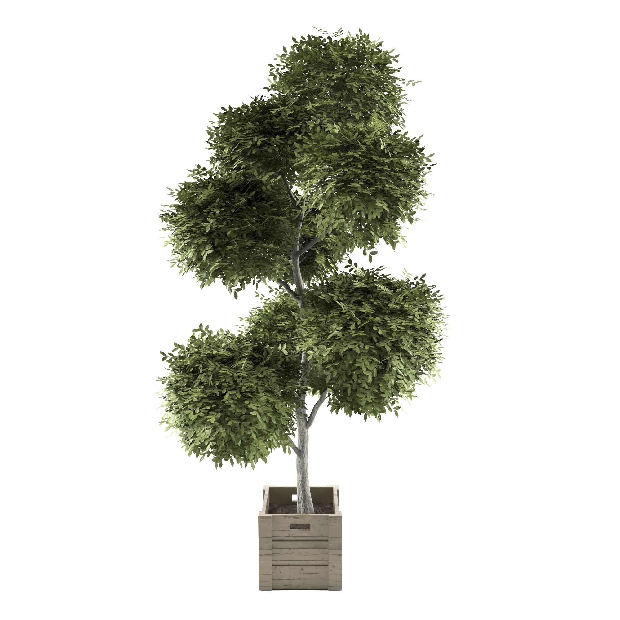 Product banner image