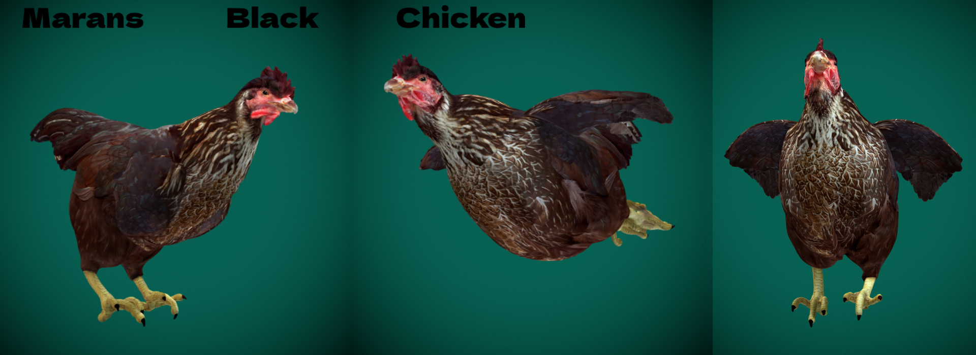 Product banner image