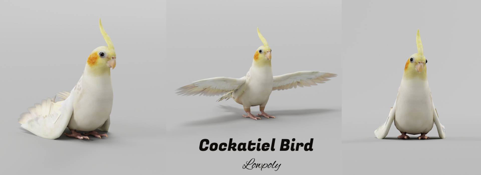 Product banner image