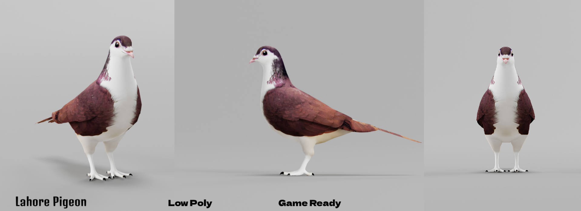 Product banner image