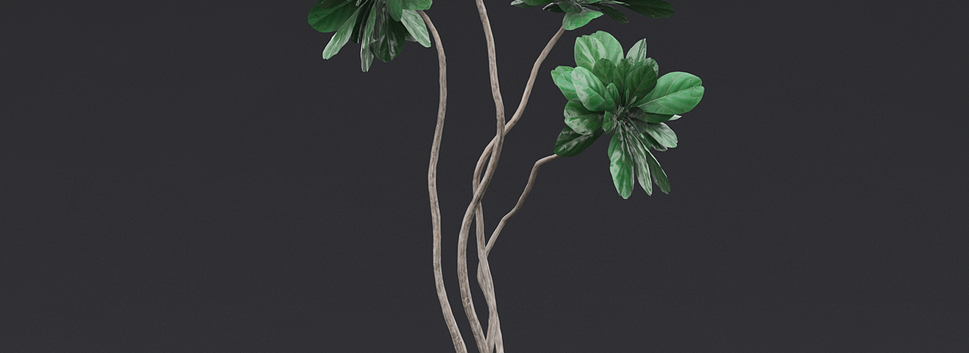 Product banner image