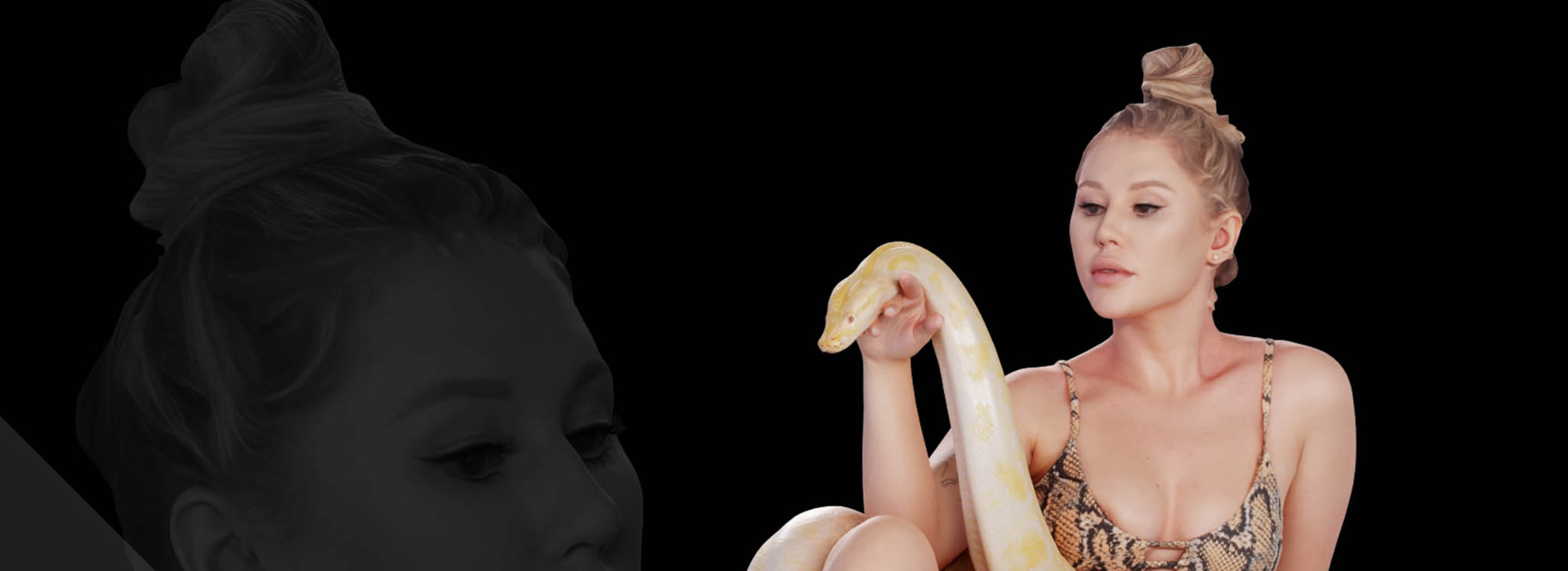 Product banner image