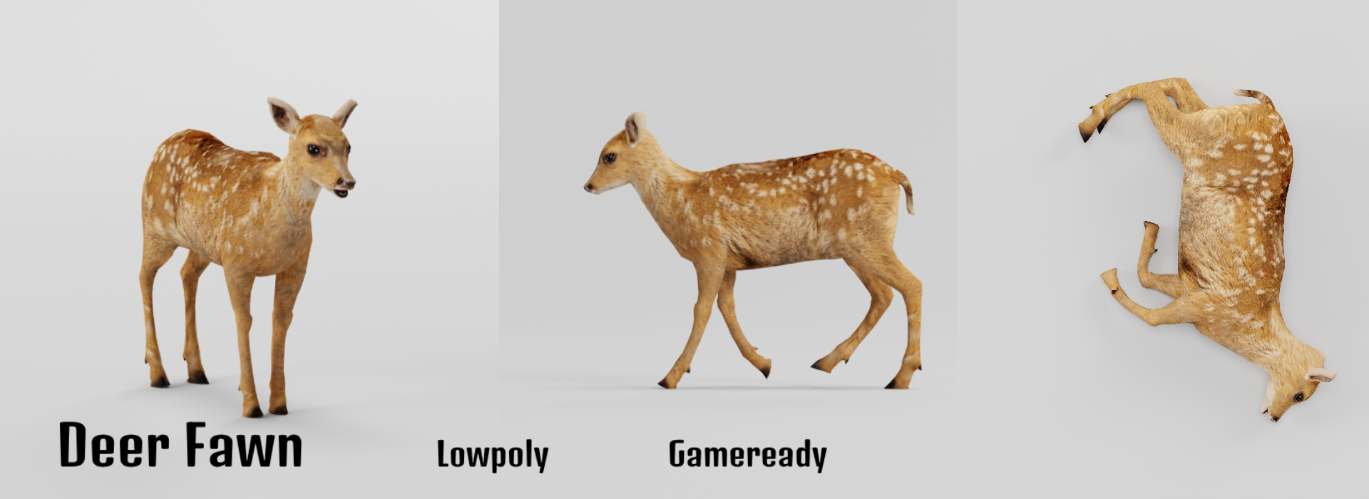 Product banner image
