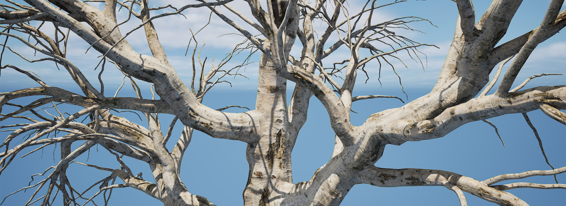 Product banner image