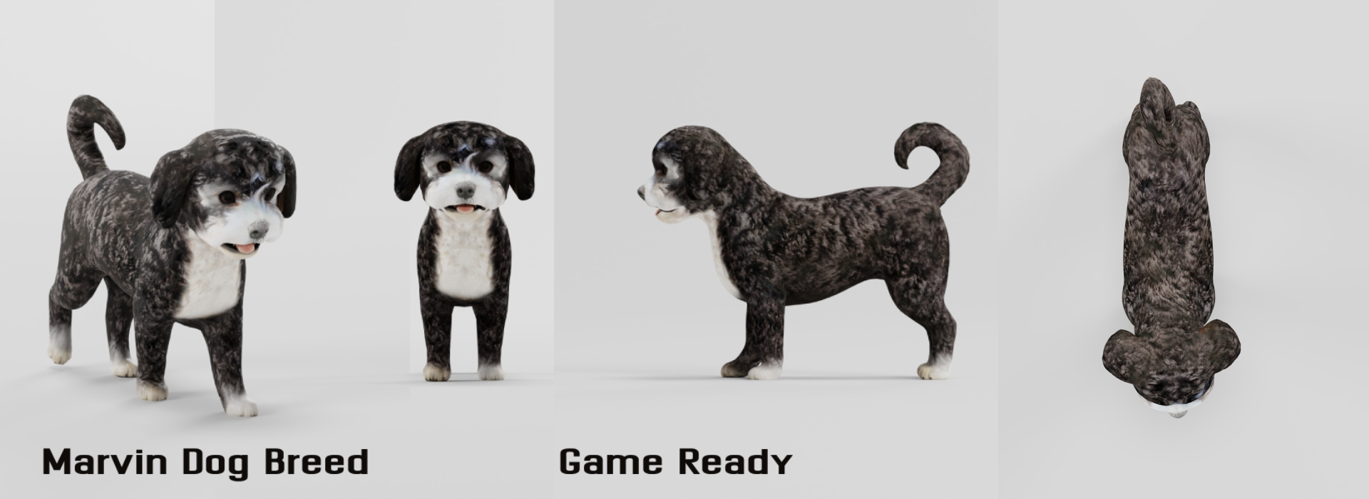 Product banner image