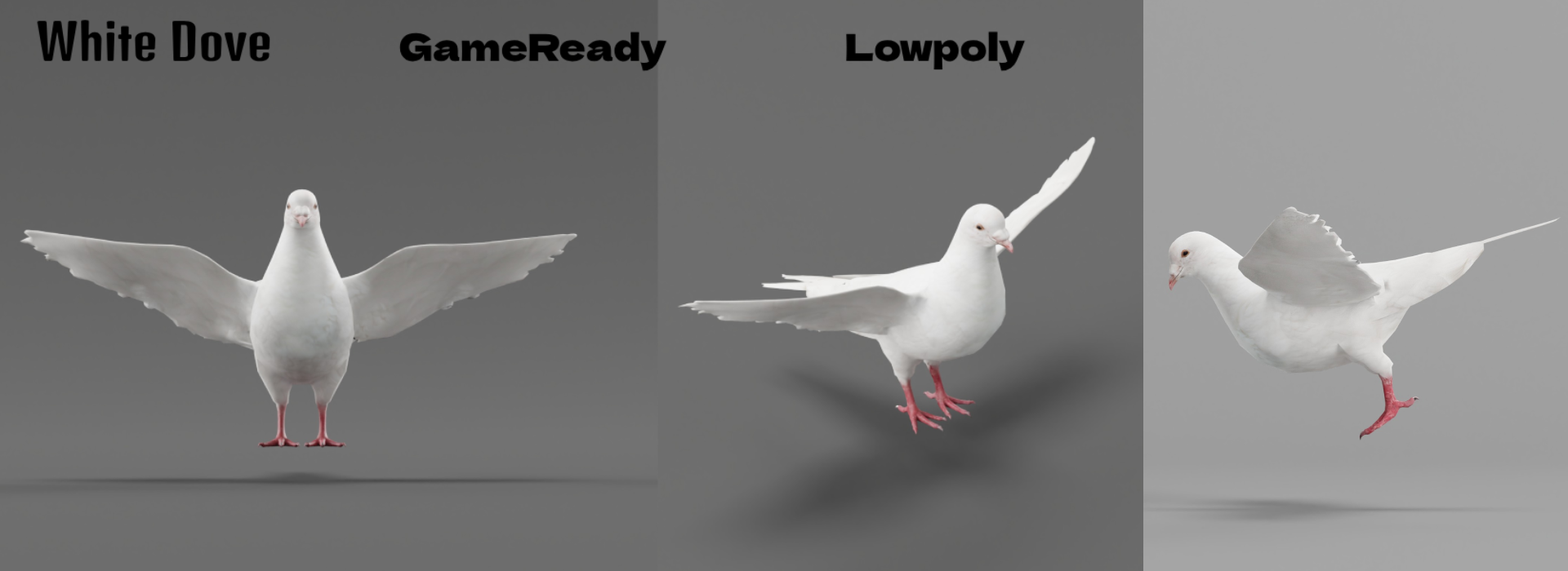 Product banner image