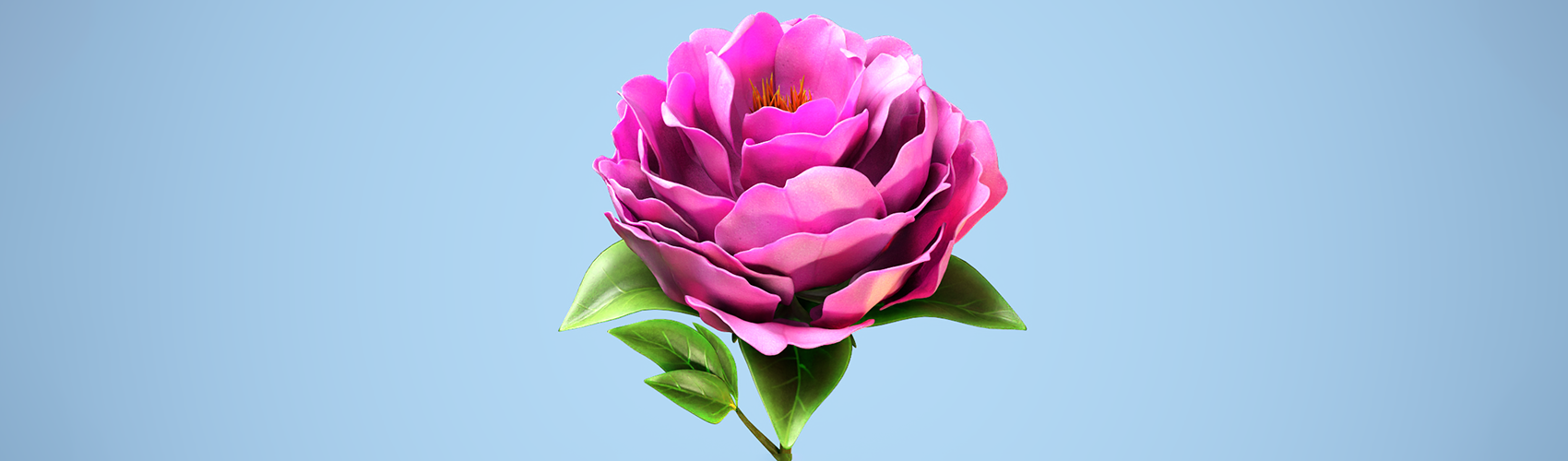 Product banner image