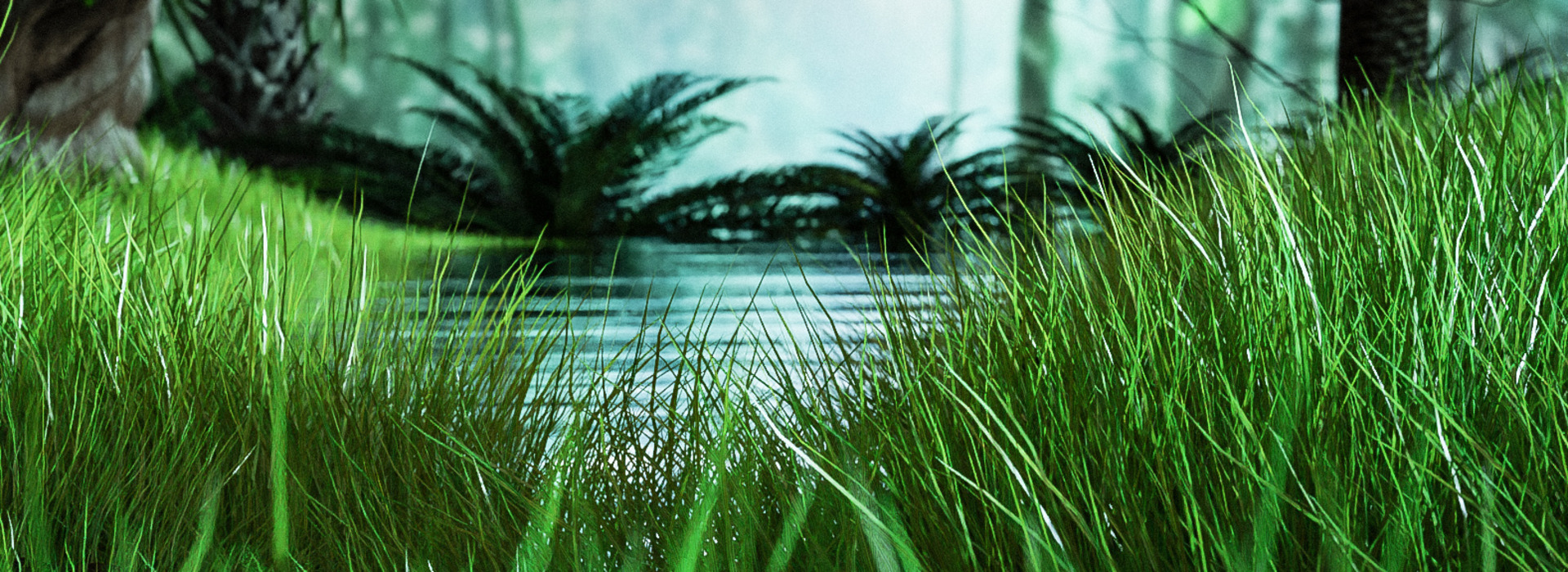 Product banner image