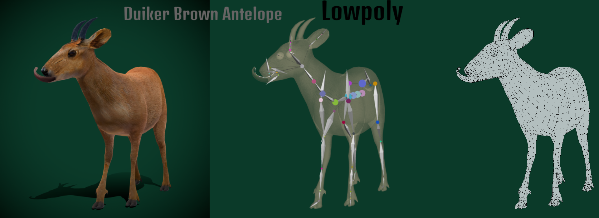 Product banner image