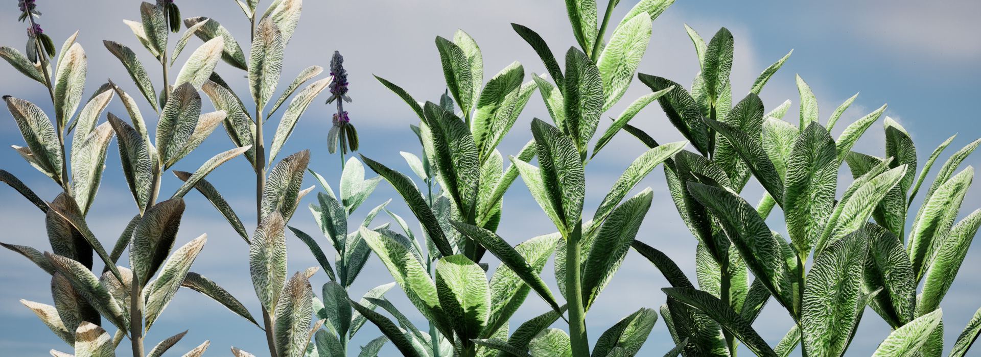 Product banner image