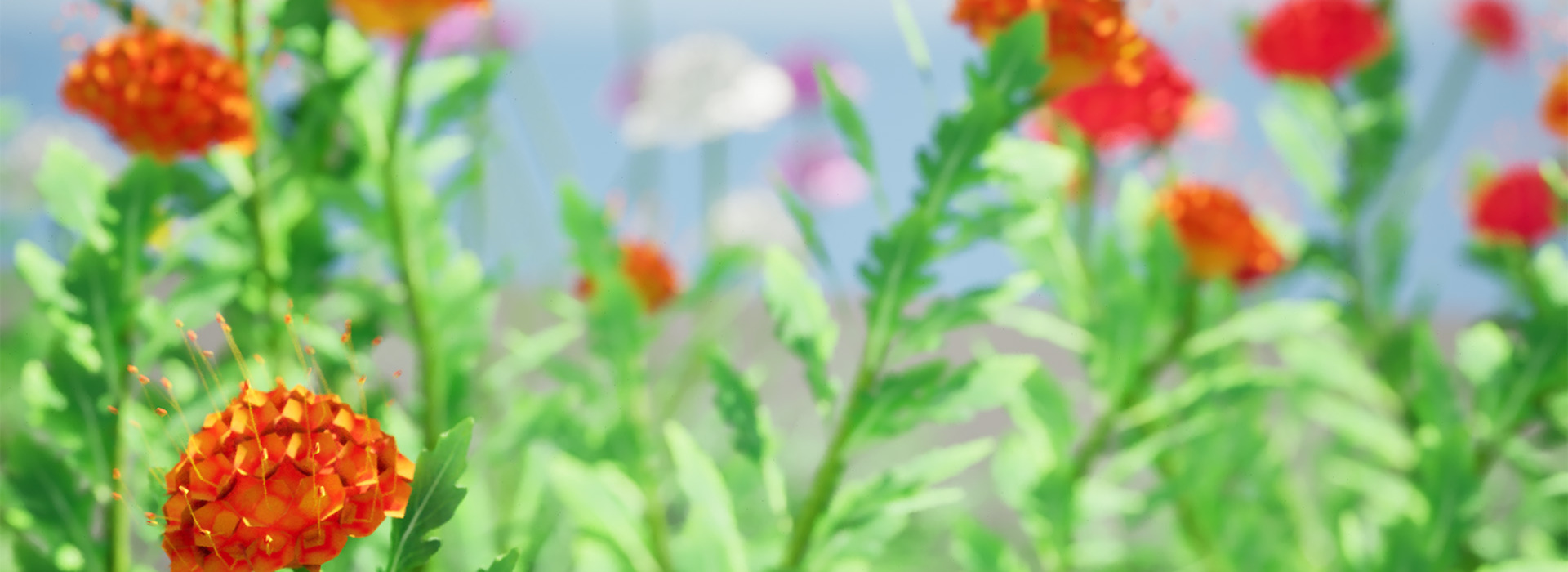 Product banner image