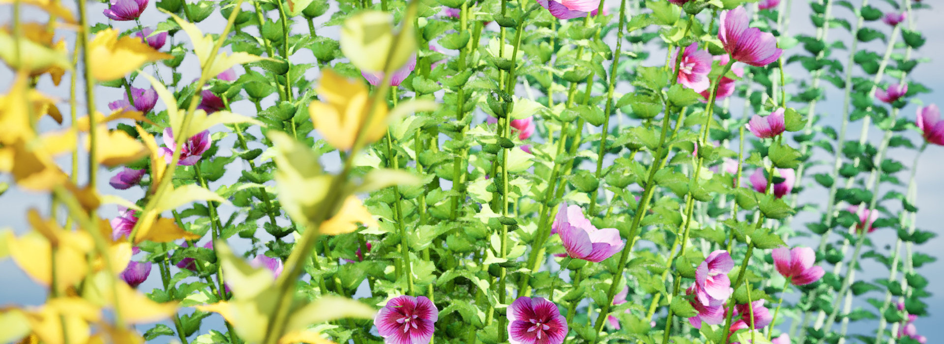 Product banner image