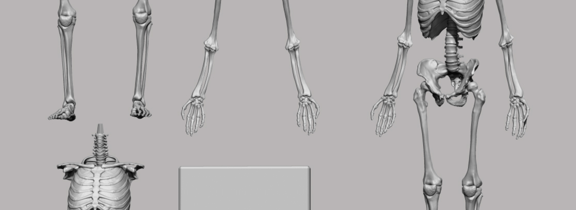 Product banner image