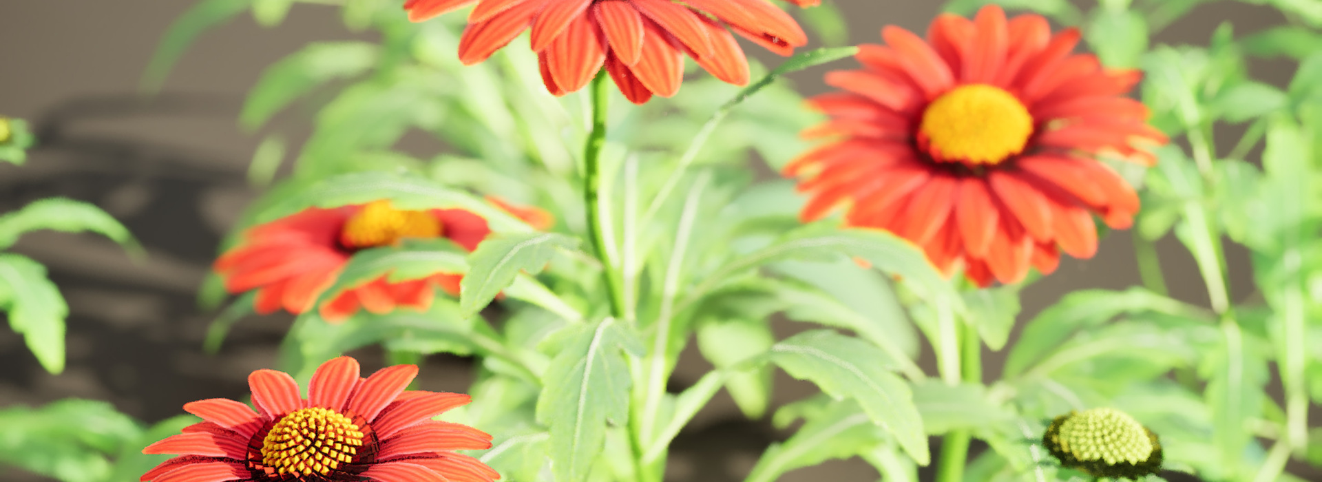 Product banner image