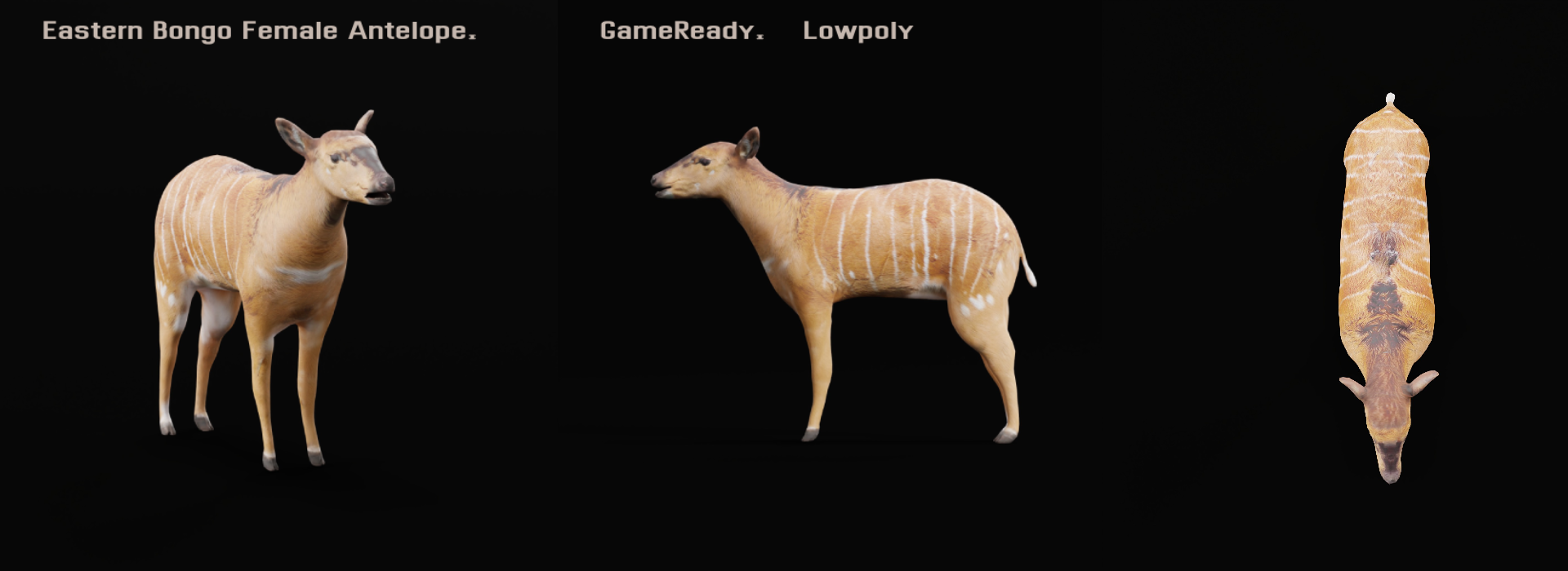 Product banner image