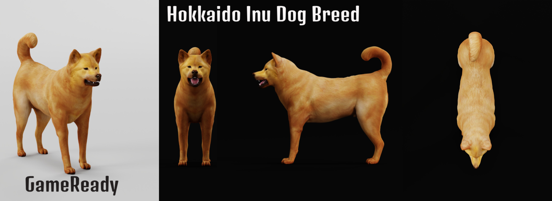 Product banner image