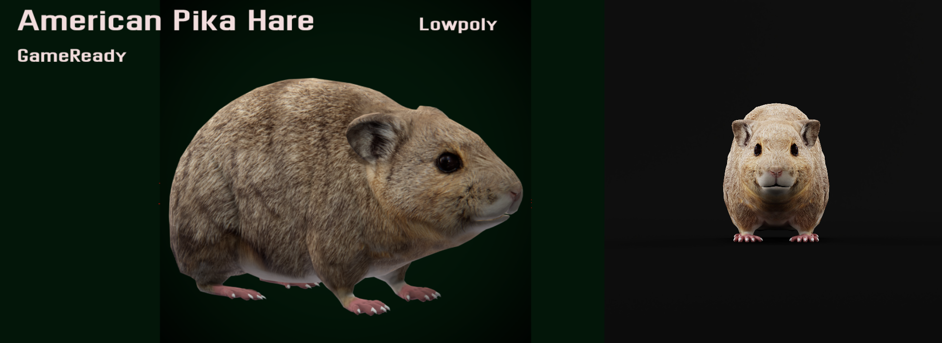 Product banner image