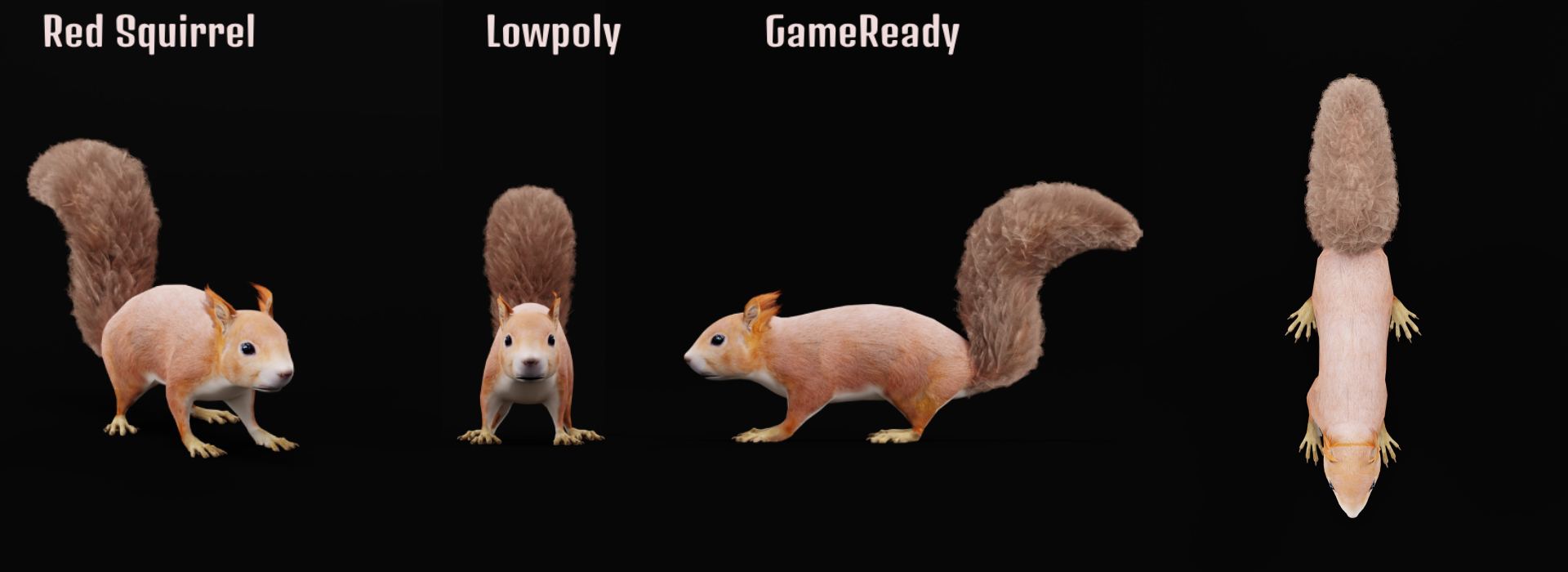 Product banner image