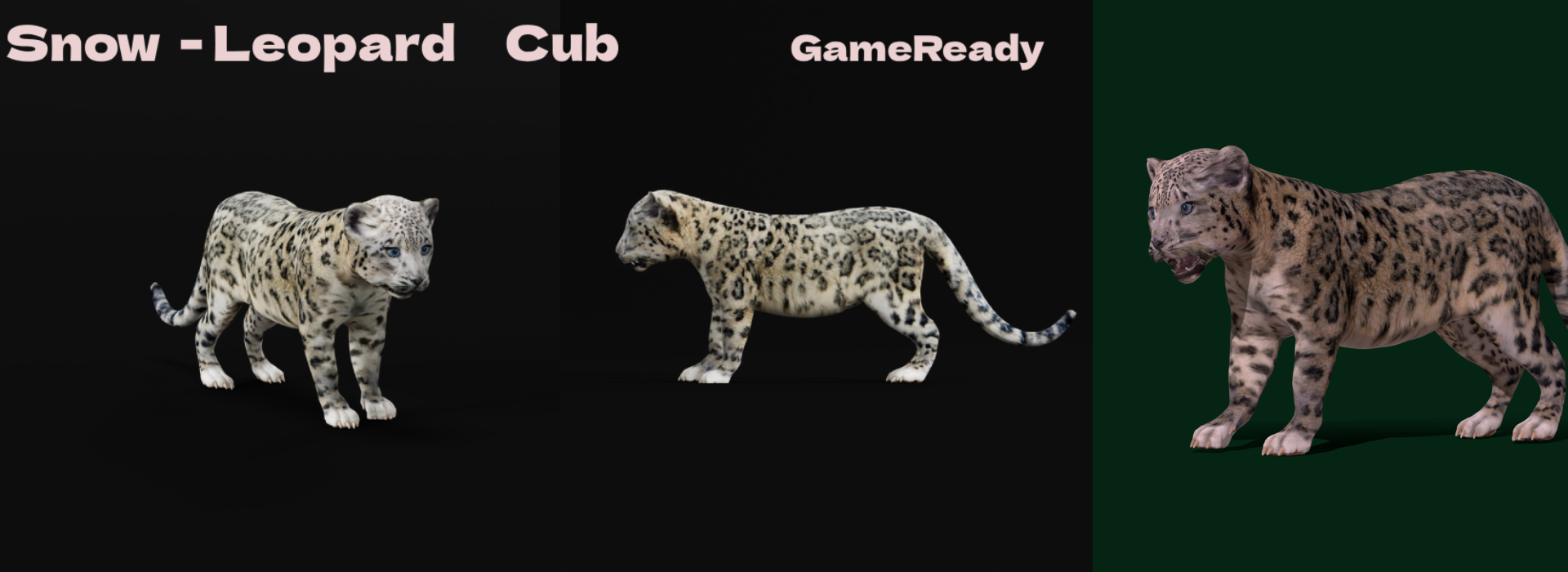 Product banner image