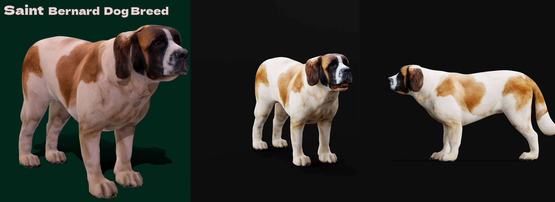 Product banner image