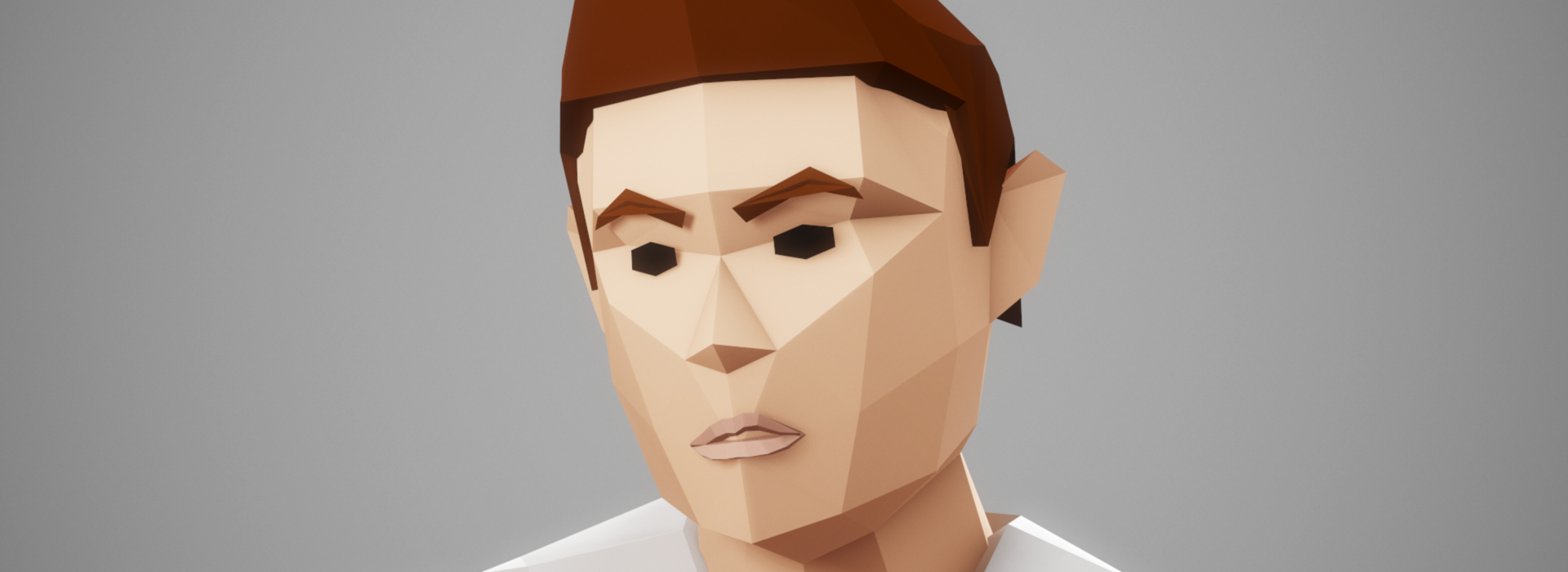 Product banner image