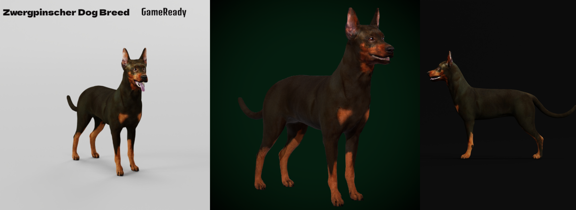 Product banner image