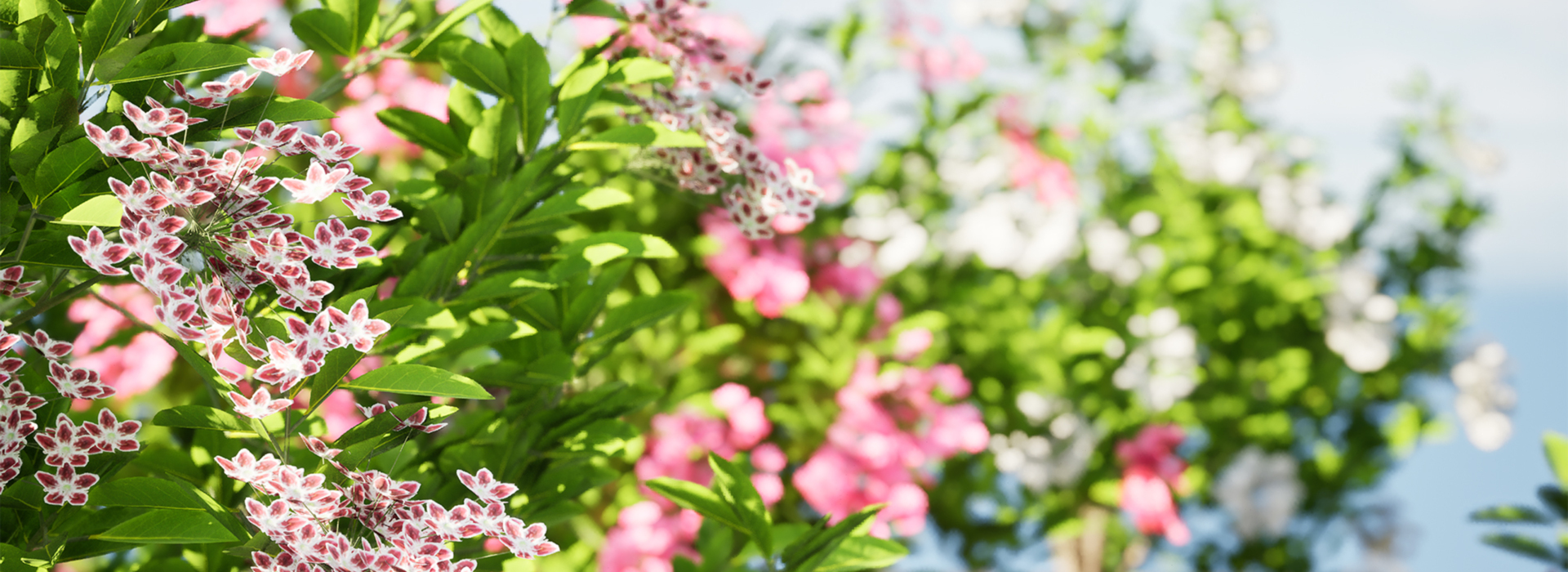 Product banner image