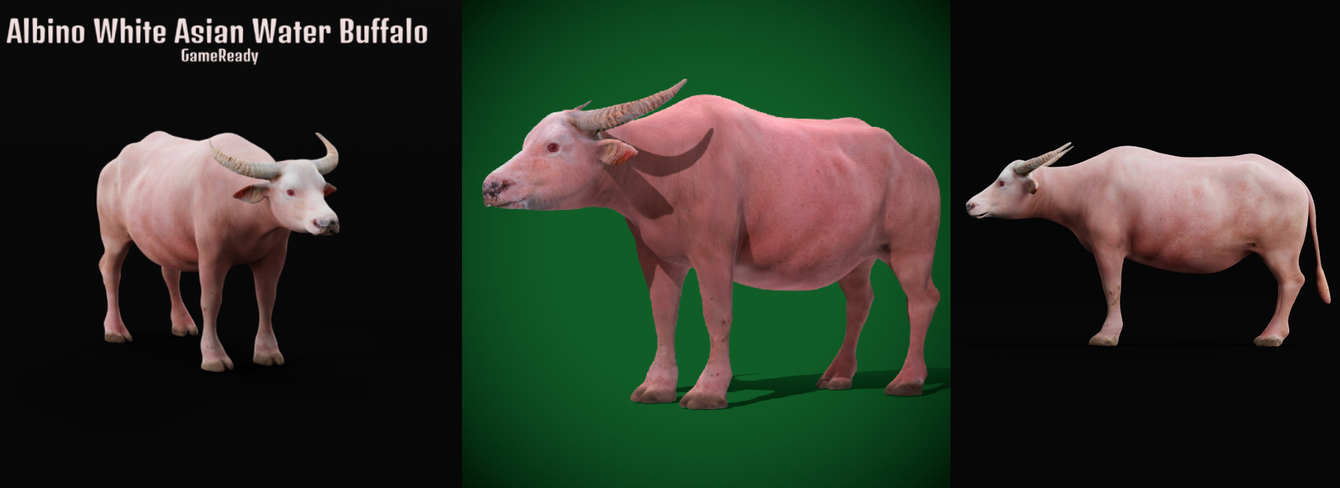 Product banner image