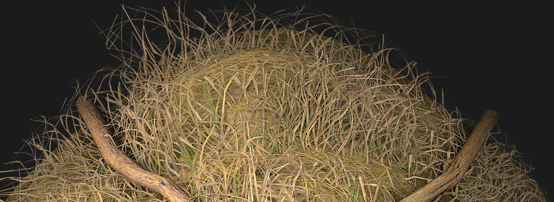 Product banner image