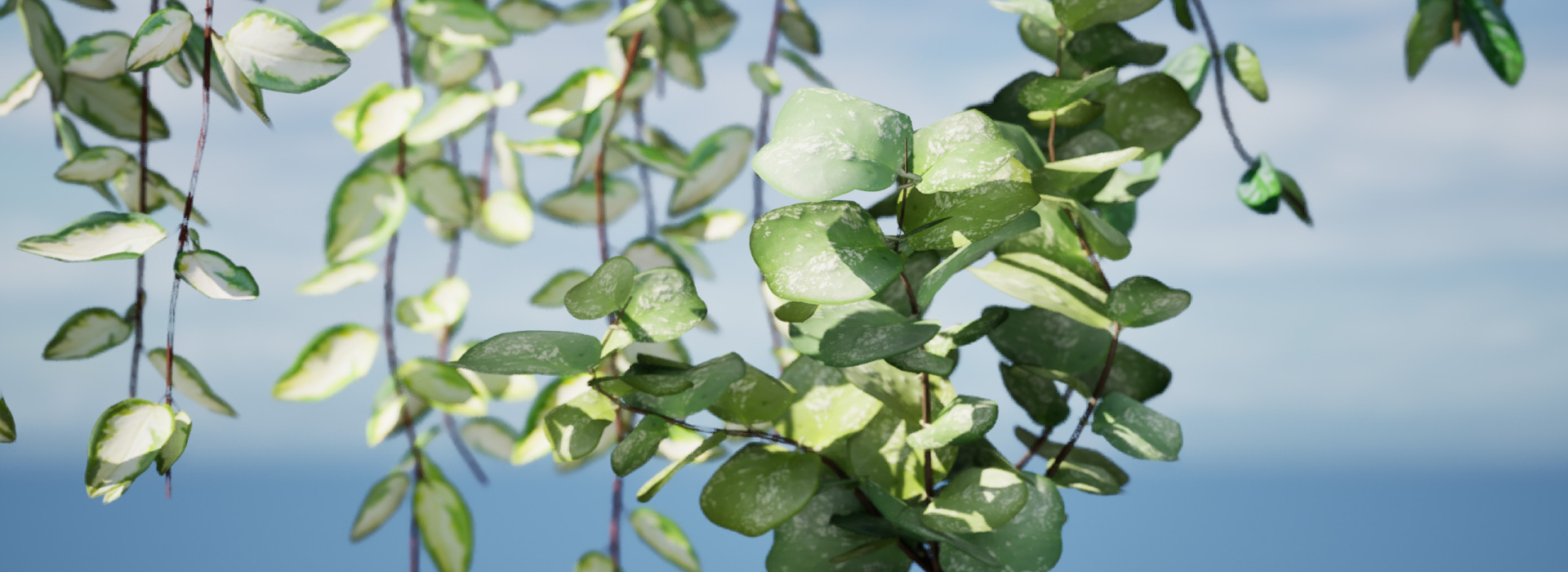 Product banner image