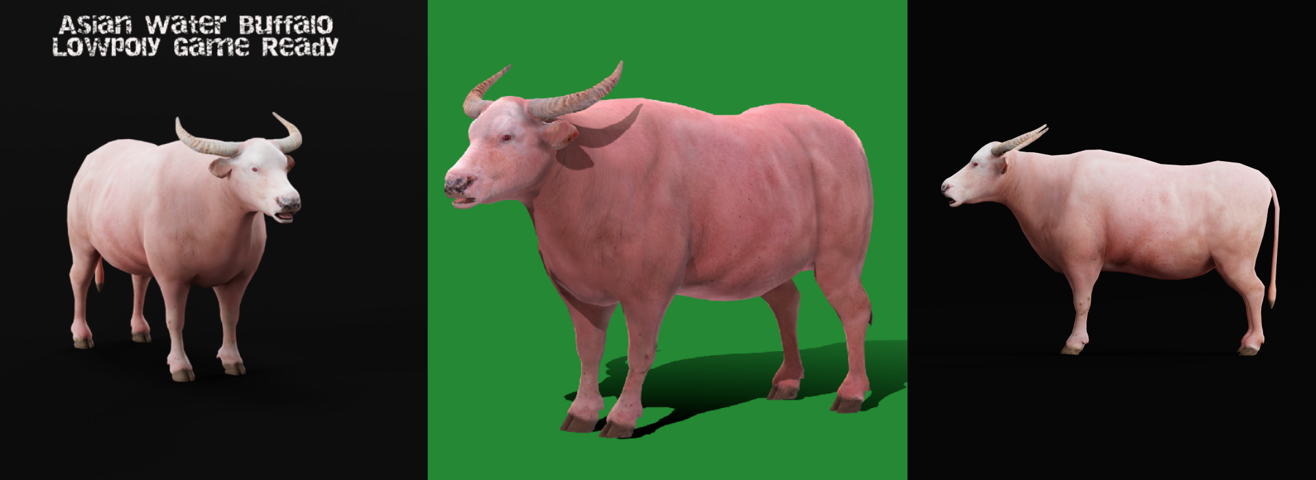 Product banner image