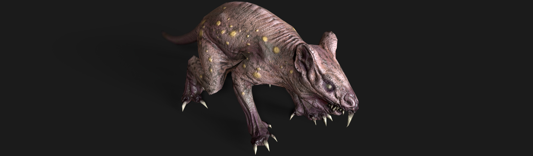 Product banner image