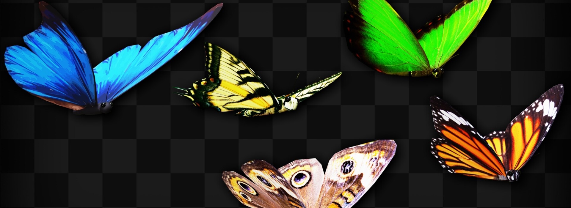 Product banner image