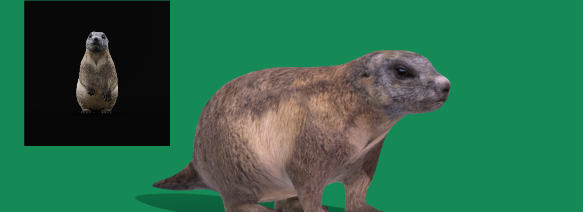 Product banner image