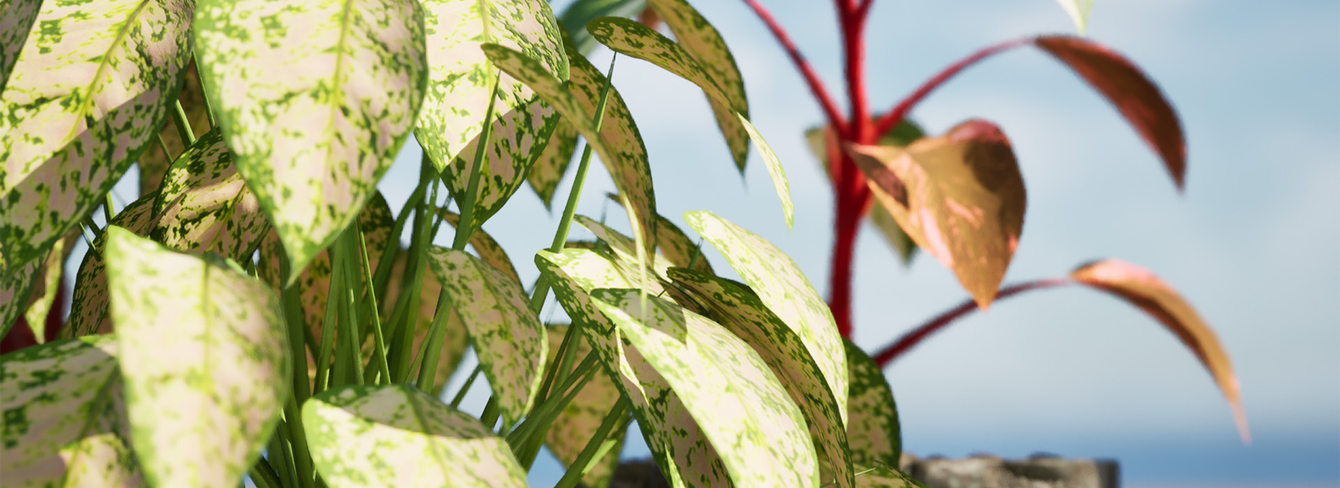 Product banner image